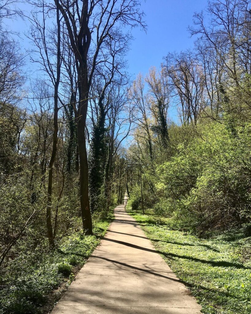 Chemin ravel marchandise